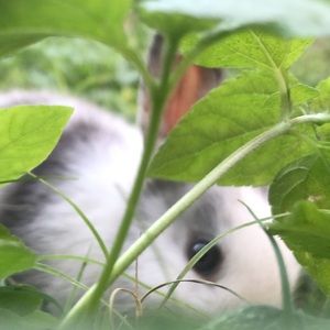 Meet your Posher, Joscelyn